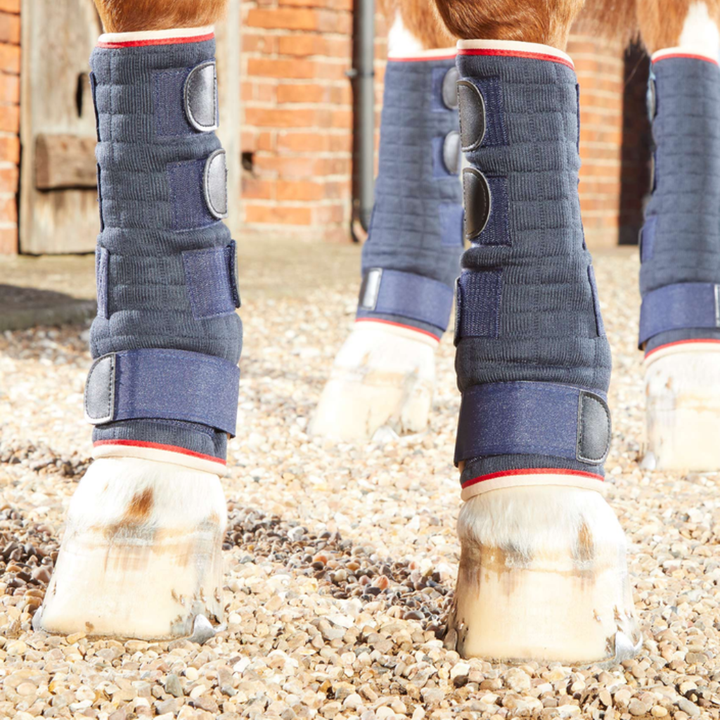 Premier Equine Stable Boots & Wraps