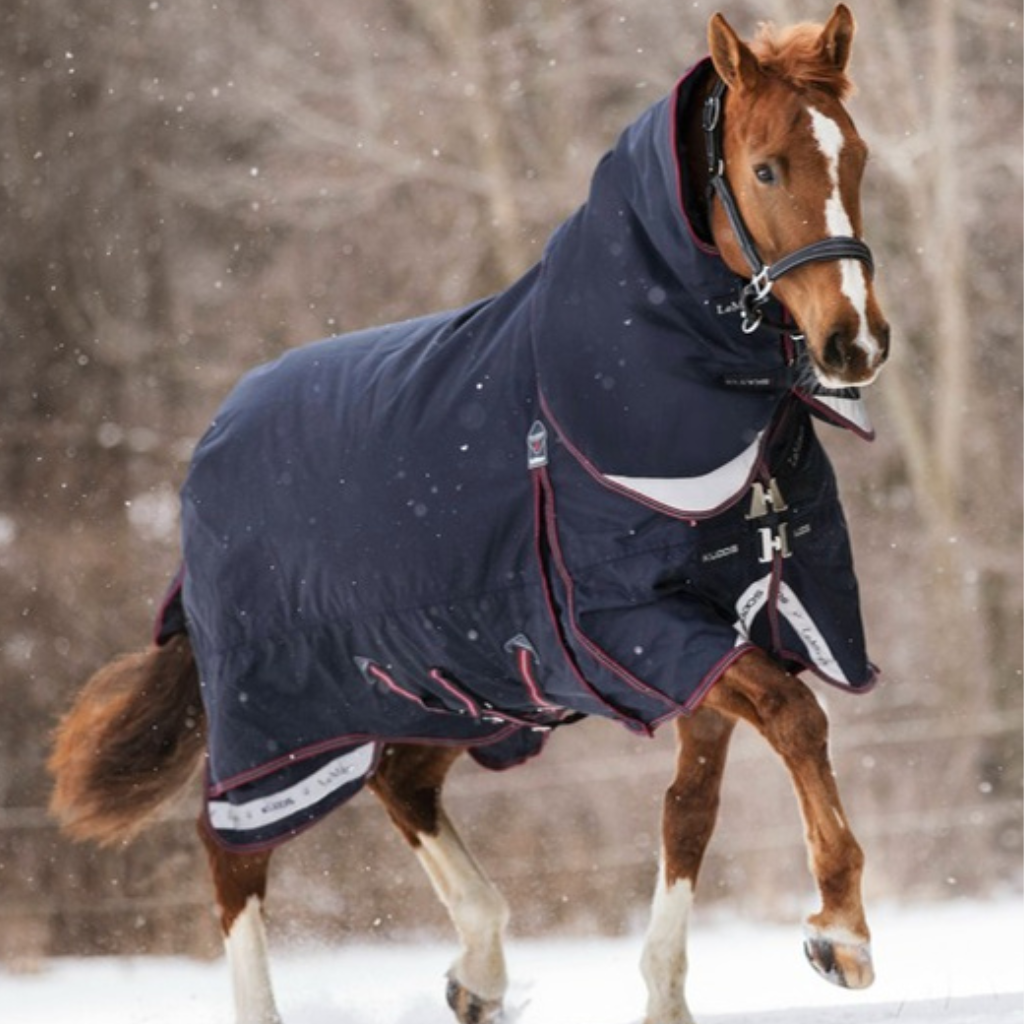 LeMieux Turnout Rugs