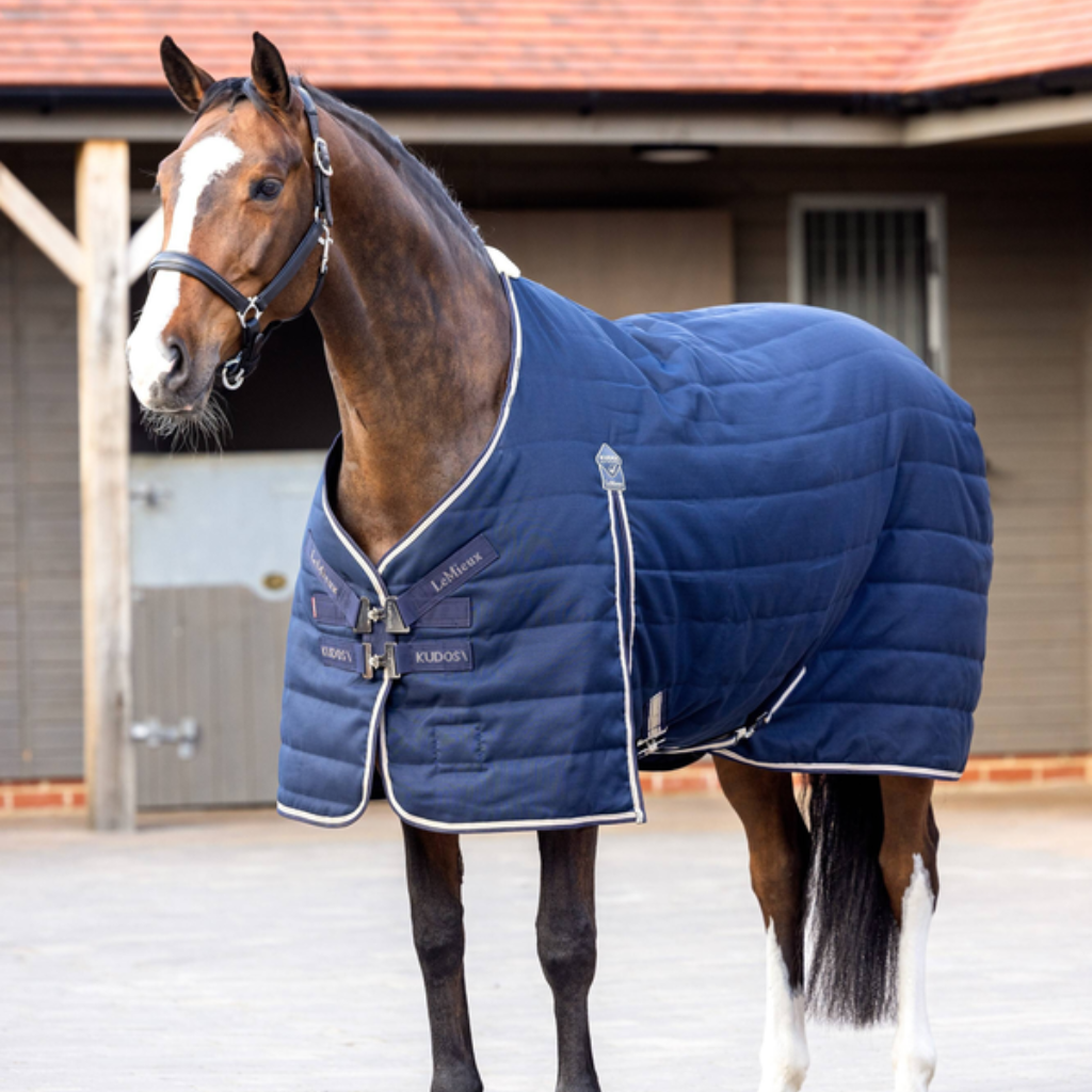 LeMieux Stable Rugs