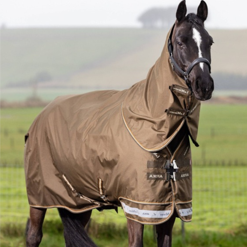 LeMieux lightweight turnout rugs