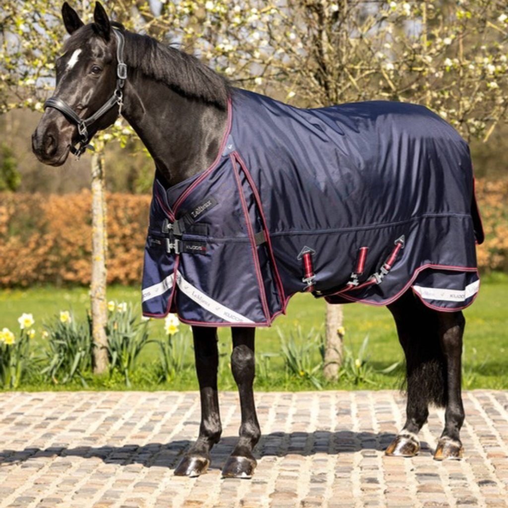 LeMieux mediumweight turnout rugs