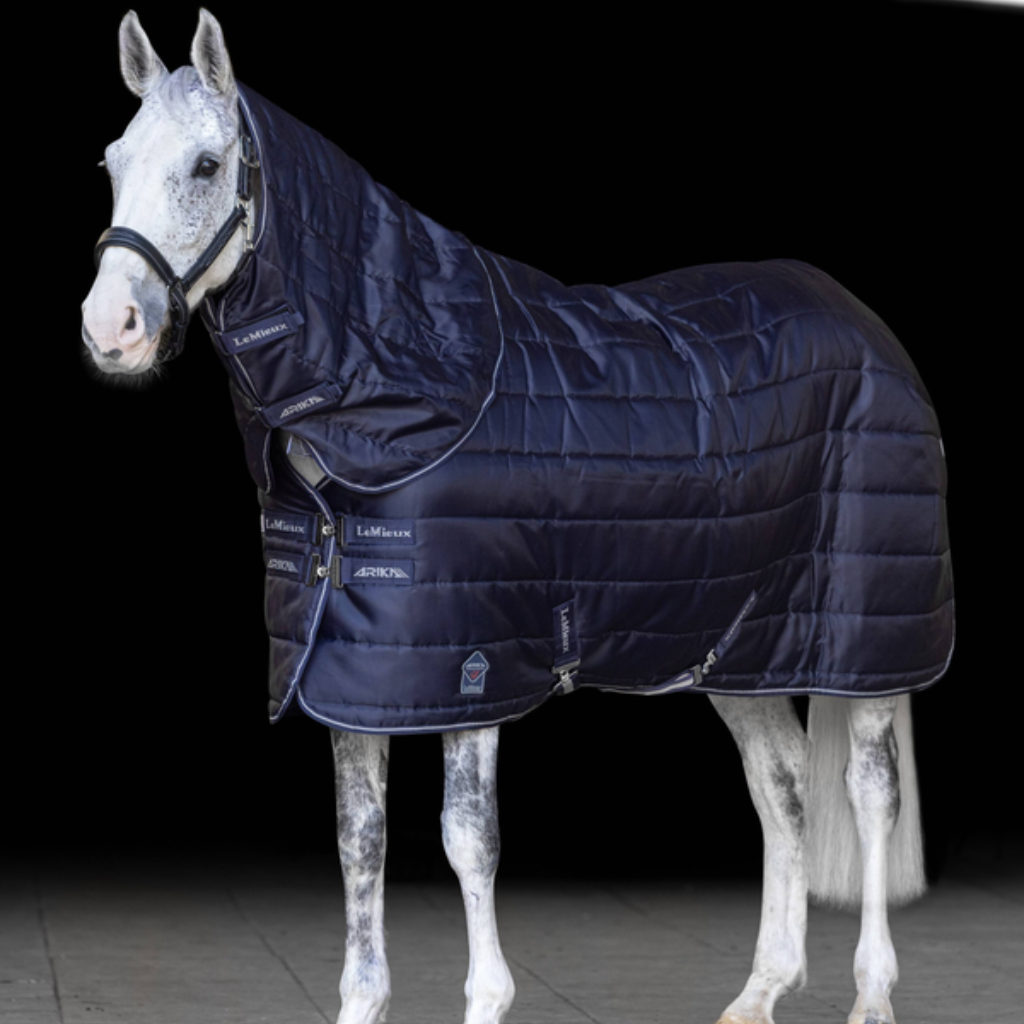 LeMieux mediumweight stable rugs