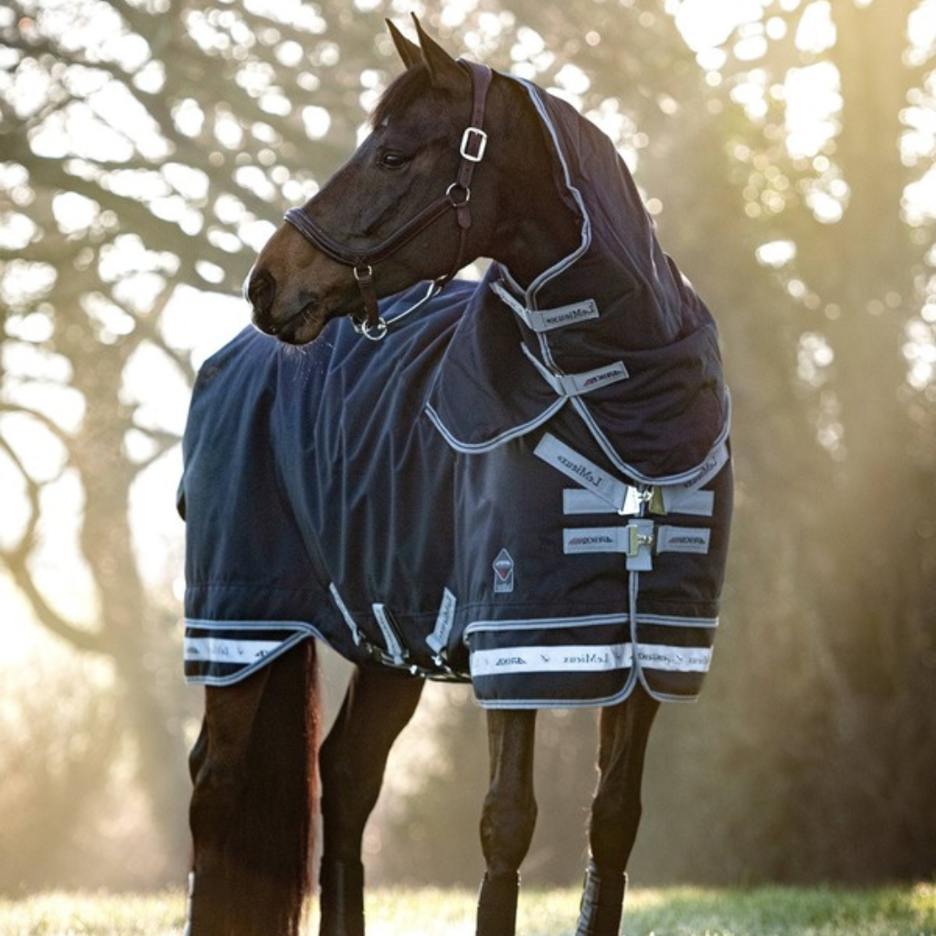 LeMieux heavyweight turnout rugs