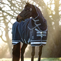 Explore Premium Heavyweight Horse Rugs – Shop LeMieux Now!