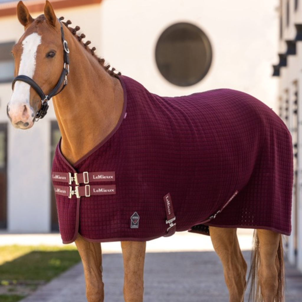 LeMieux Fleece & Cooler Rugs