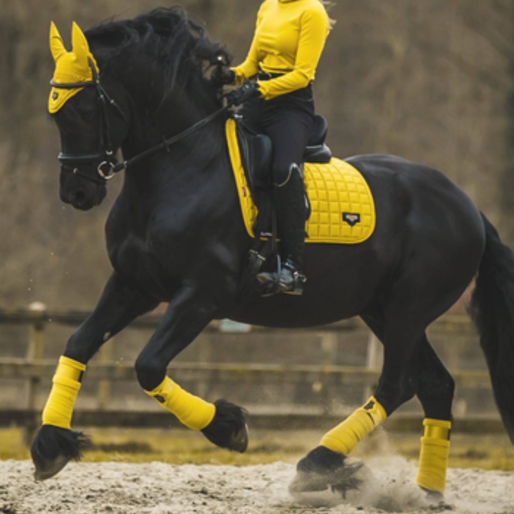 LeMieux Saddle Pads