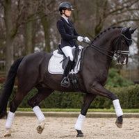 LeMieux Dressage Squares
