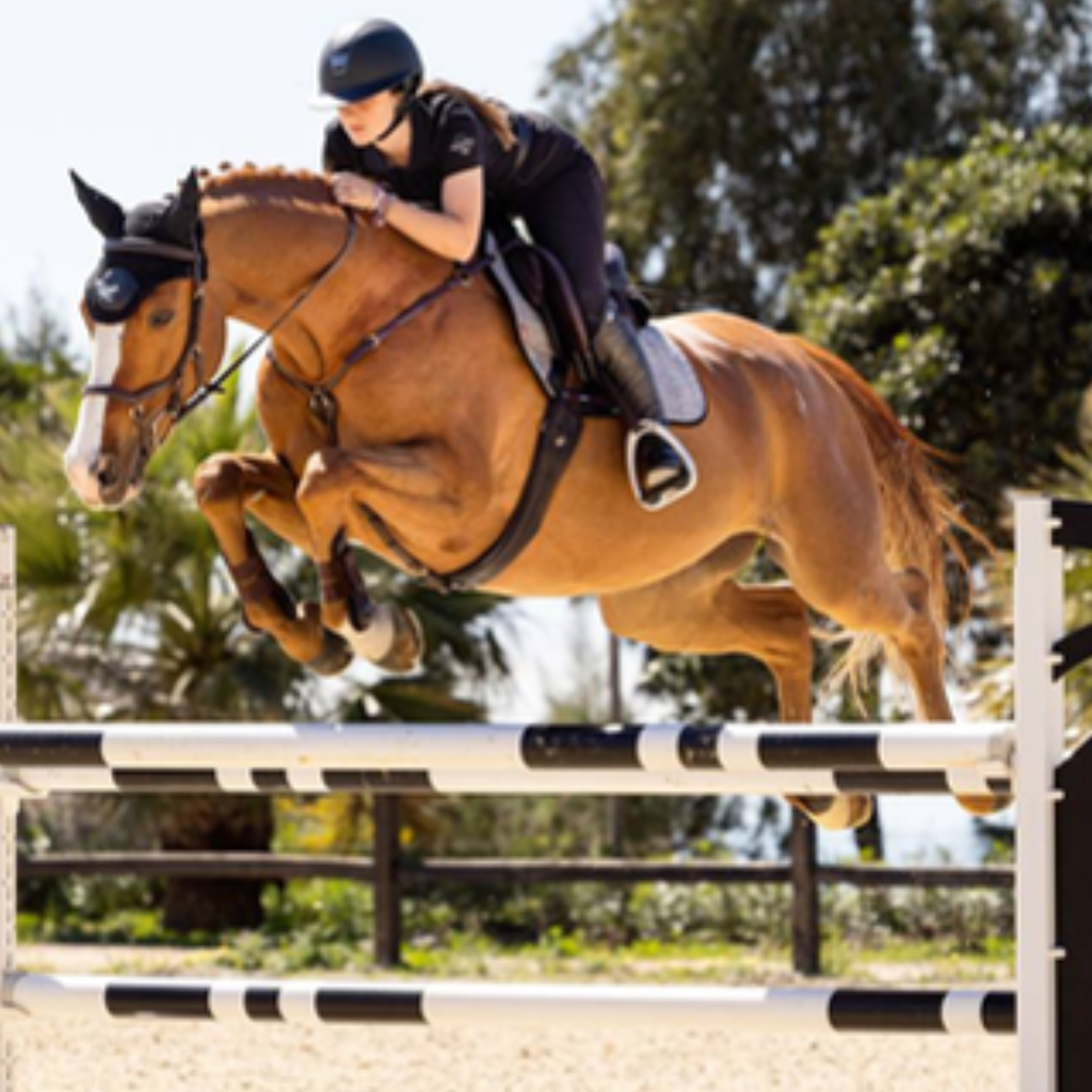 LeMieux Showjumping Pads