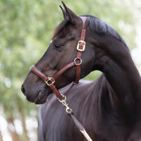 LeMieux Headcollars & Leadropes