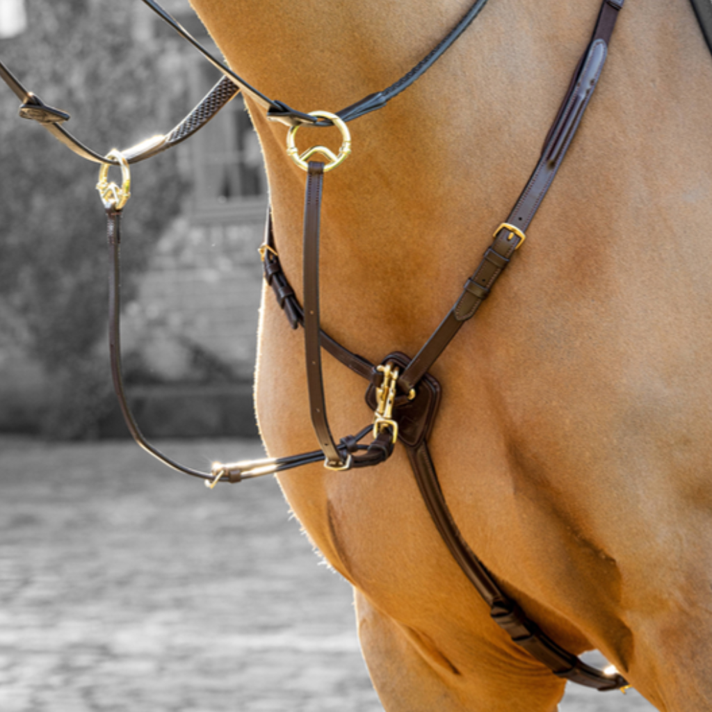LeMieux breastplates and martingales