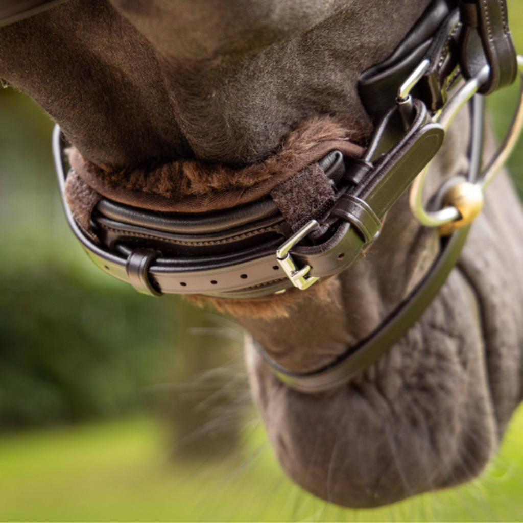 LeMieux Saddlery Accessories
