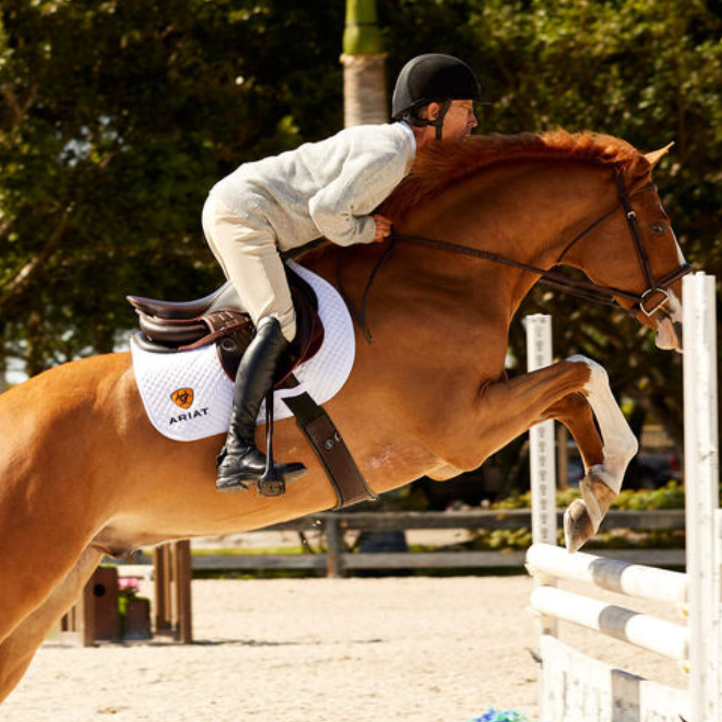 Ariat Mens Competition Wear