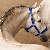HKM Horse