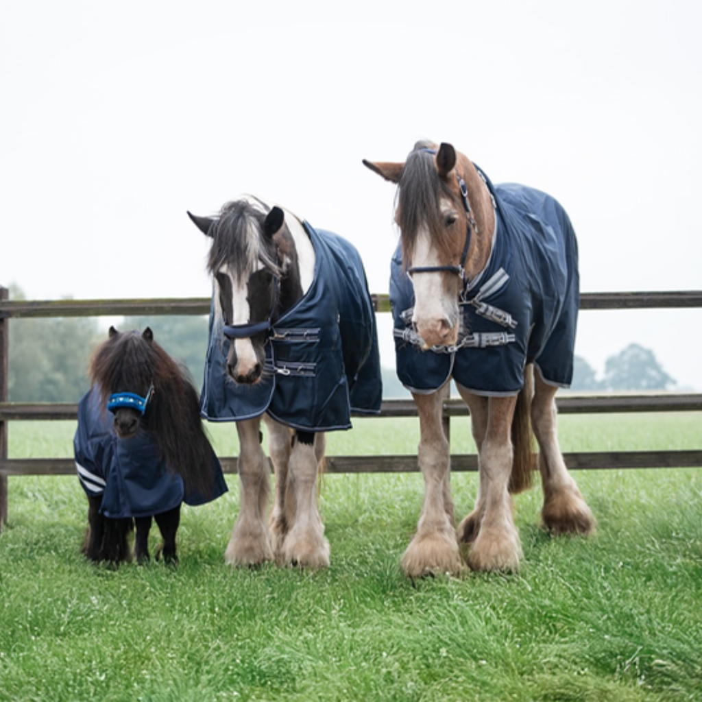 HKM horse rugs