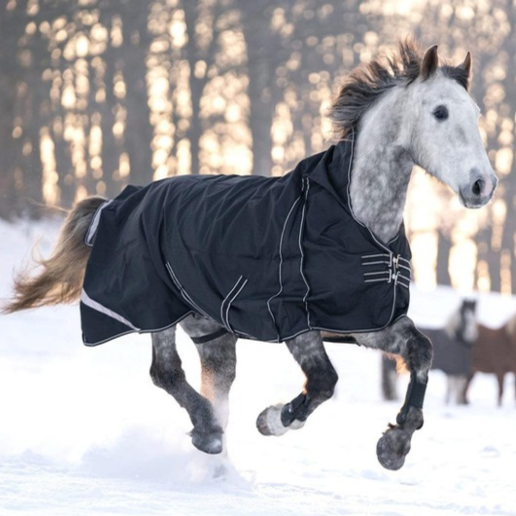 HKM turnout rugs