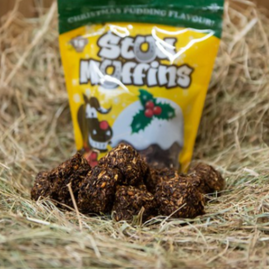 Christmas Gifts for Horses