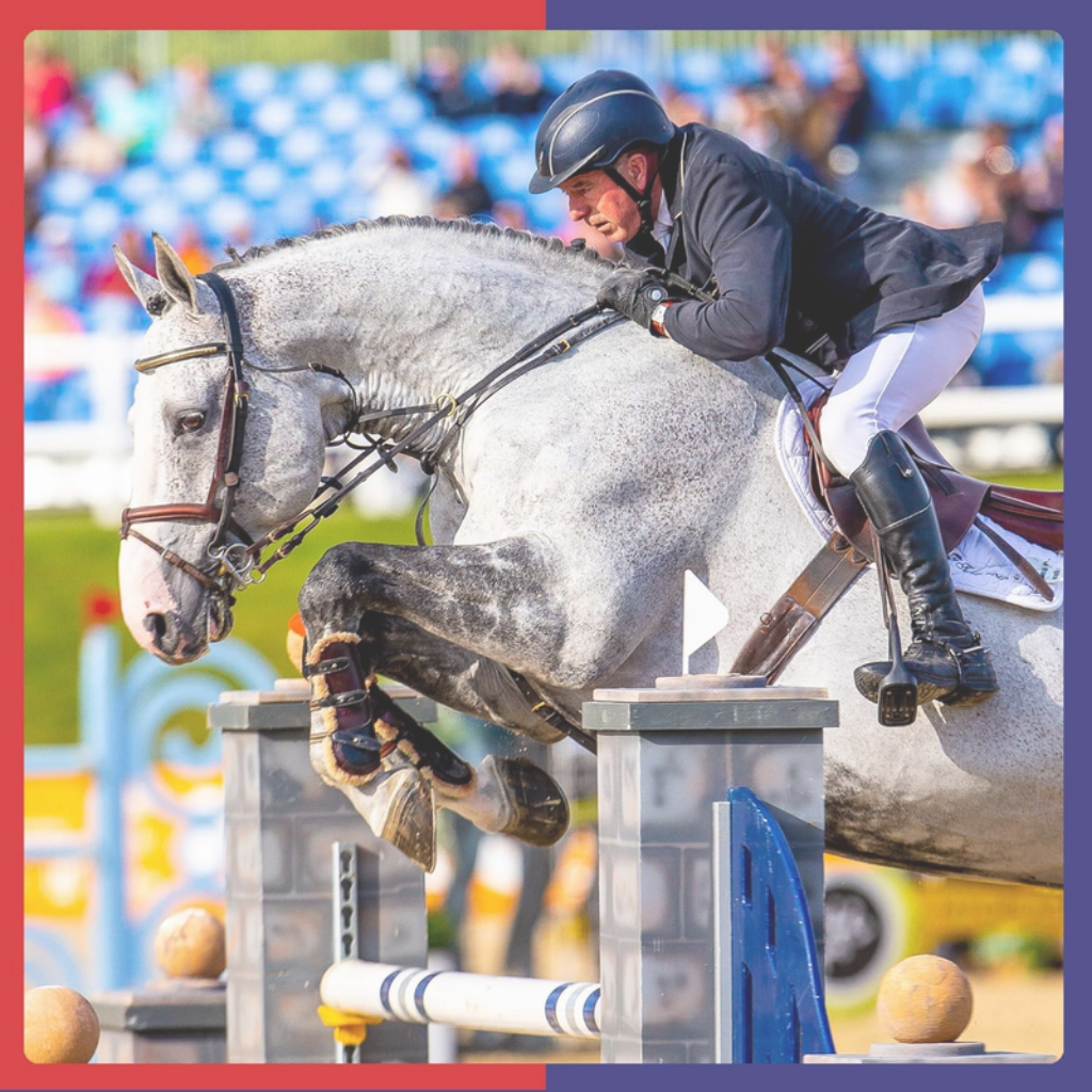 Equine America joint & muscle care