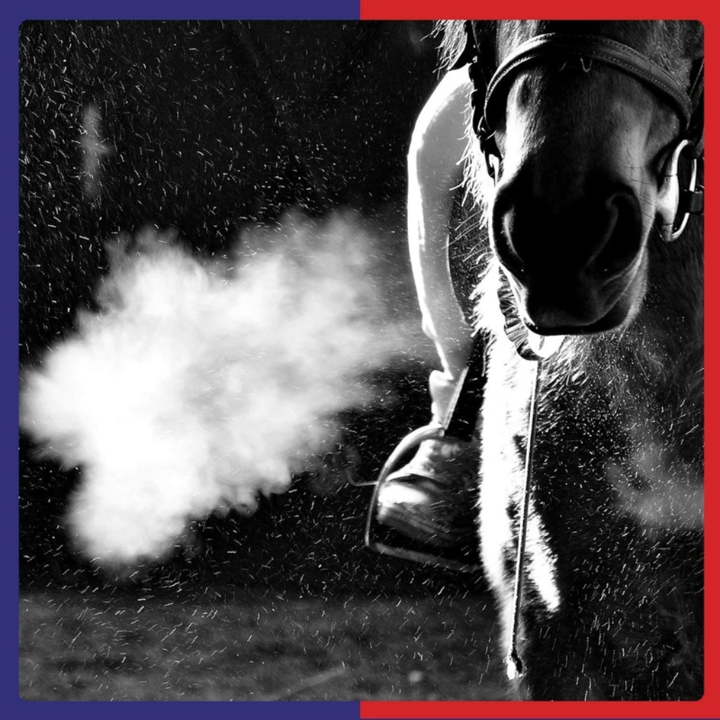 Equine America Respiratory & Recovery