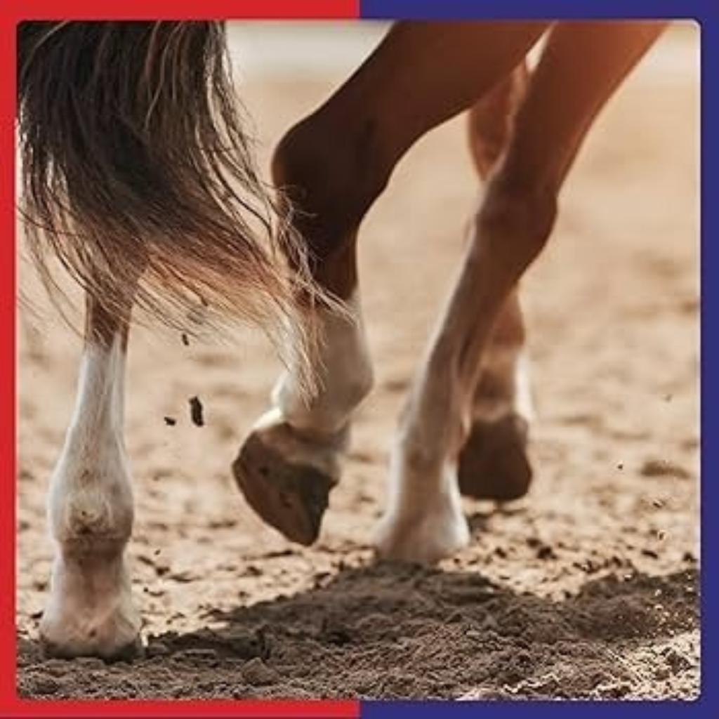 Equine America Hoof & Skin Care