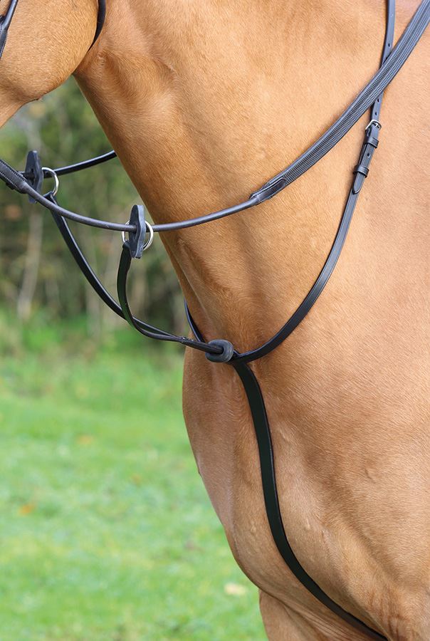 Chestnut horse in a field wearing a black leather running martingale