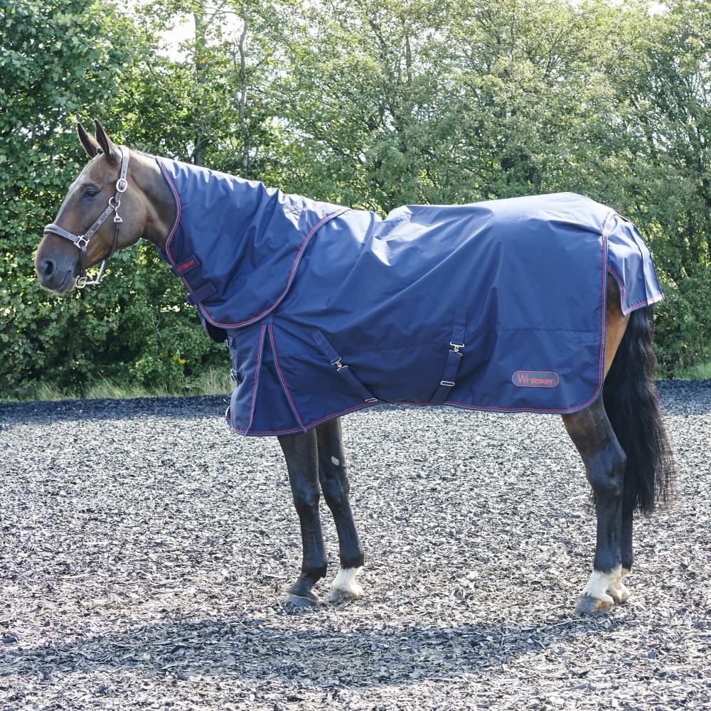 Bay horse standing outdoors wearing a navy combo turnout rug with neck cover