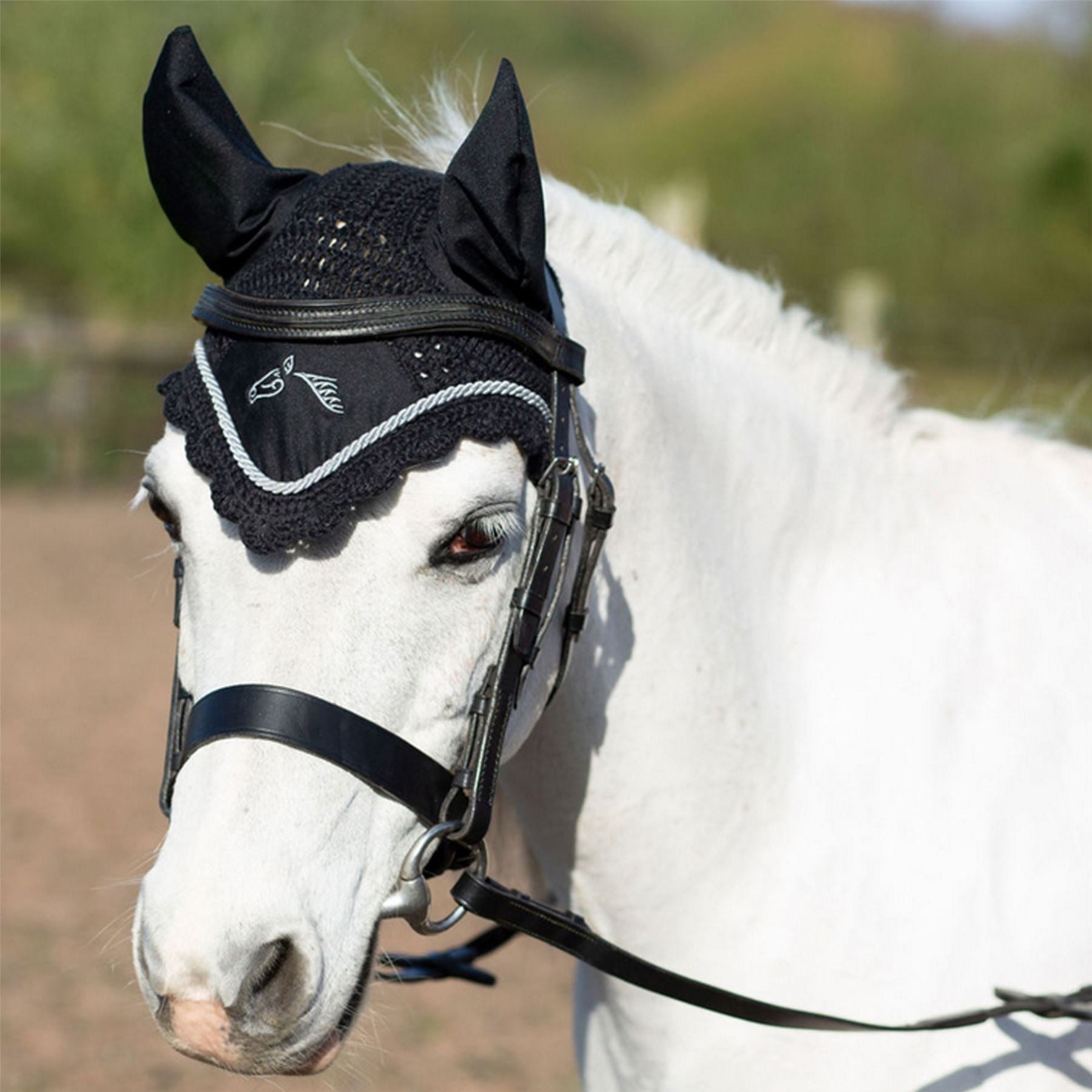 Grey horse in a bridle wearing a black crochet fly veil with white piping outdoors