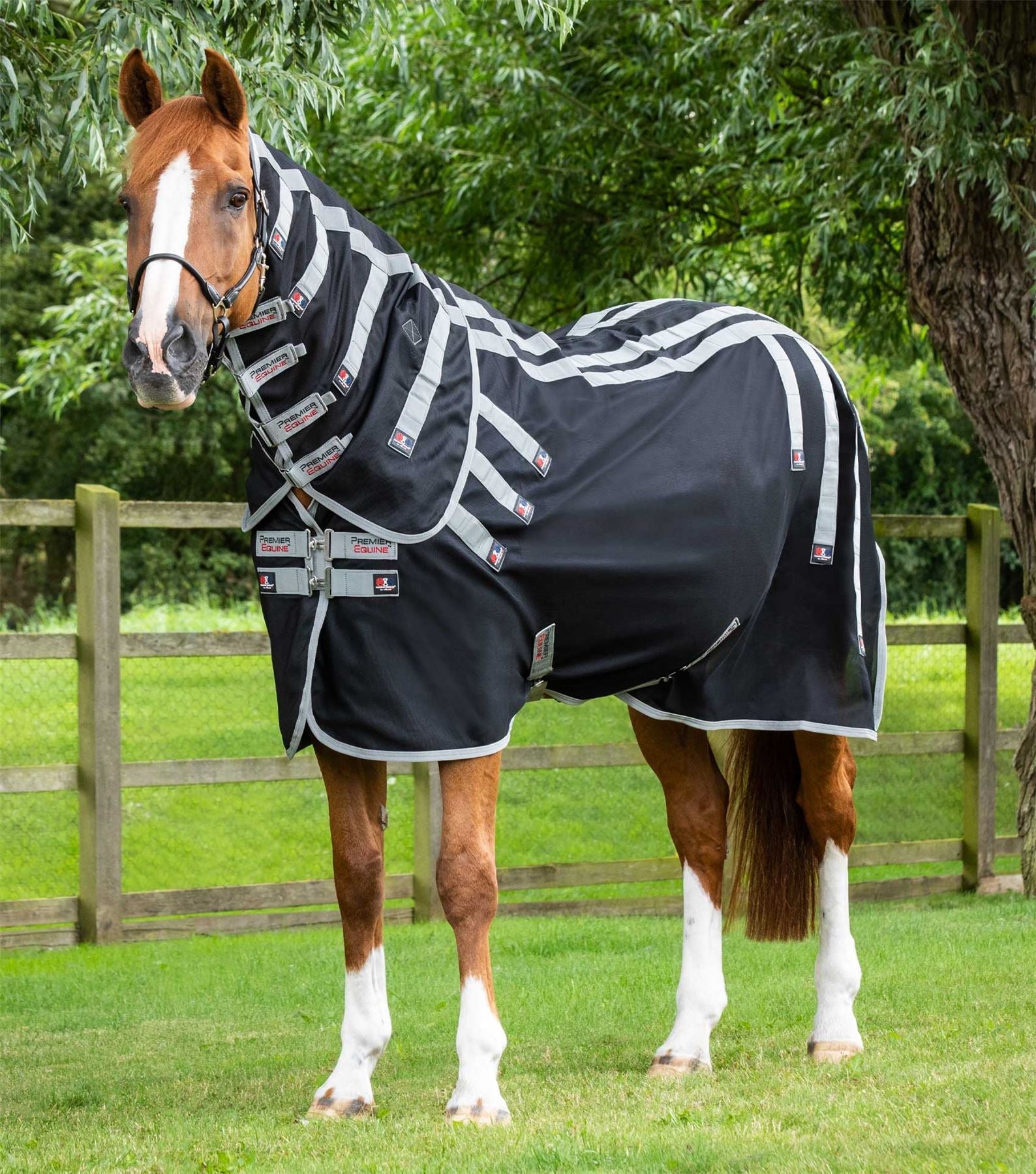 Chestnut horse in a paddock wearing a black magnetic therapy rug with full neck cover