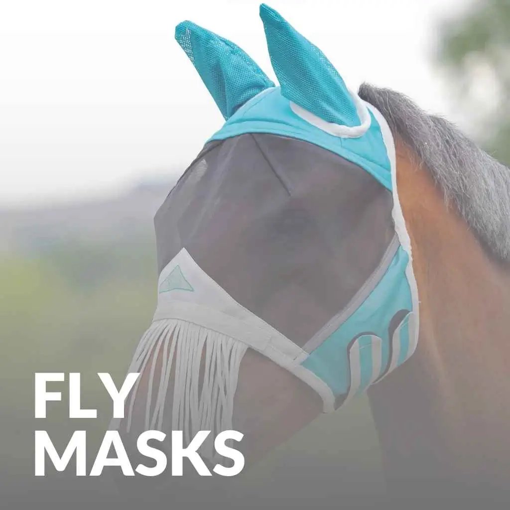 Find The Best Fly Masks: Comfort and Protection for Your Horse