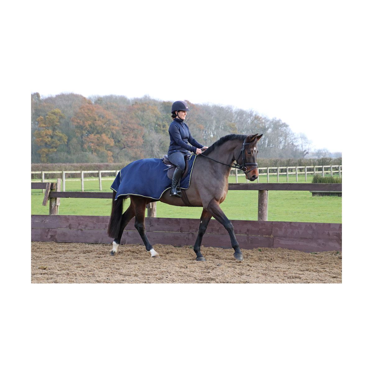 Rider schooling a bay horse wearing a navy waterproof exercise sheet in an outdoor arena