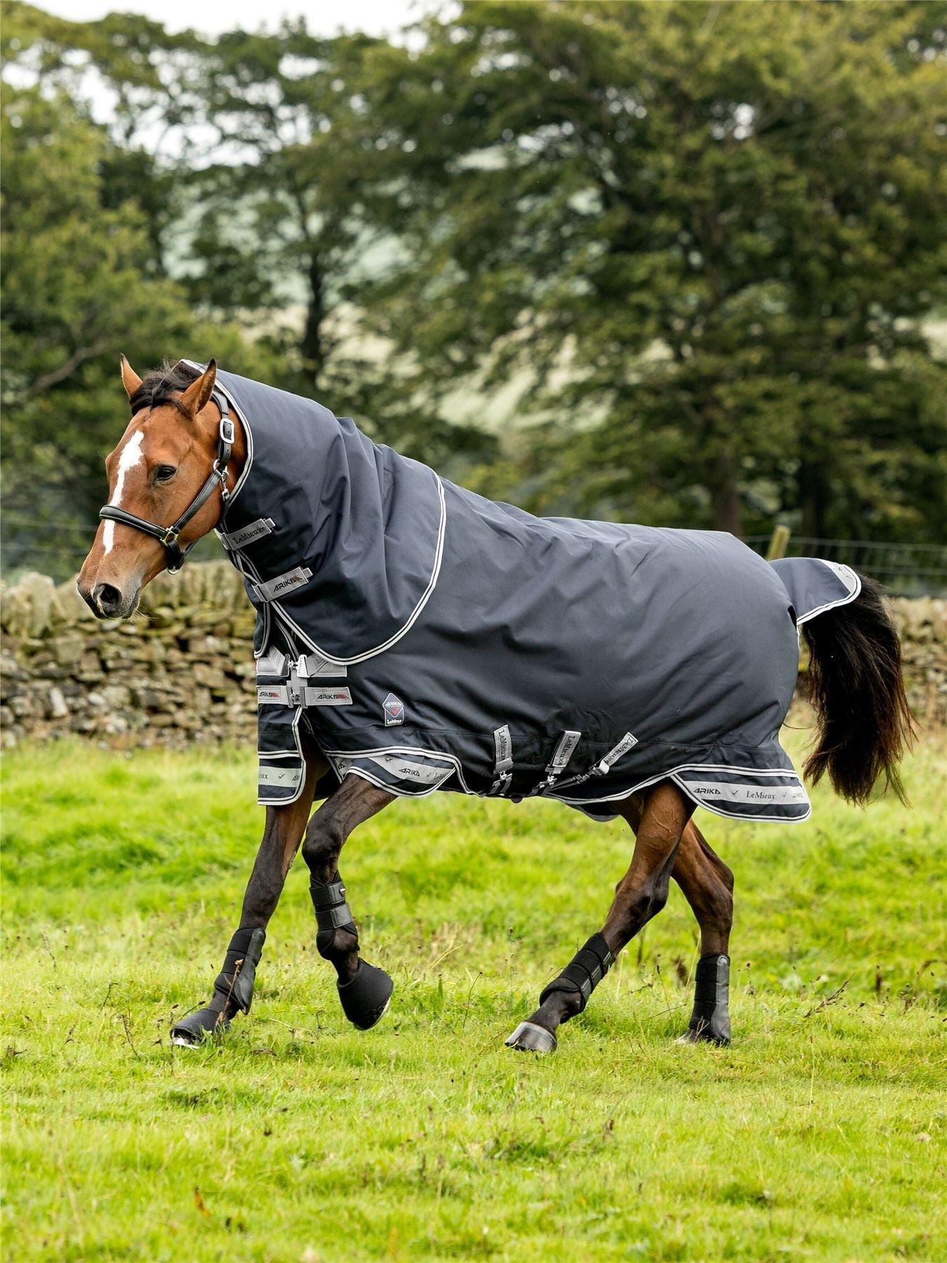 LeMieux Horse Rugs