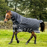 LeMieux Horse Rugs