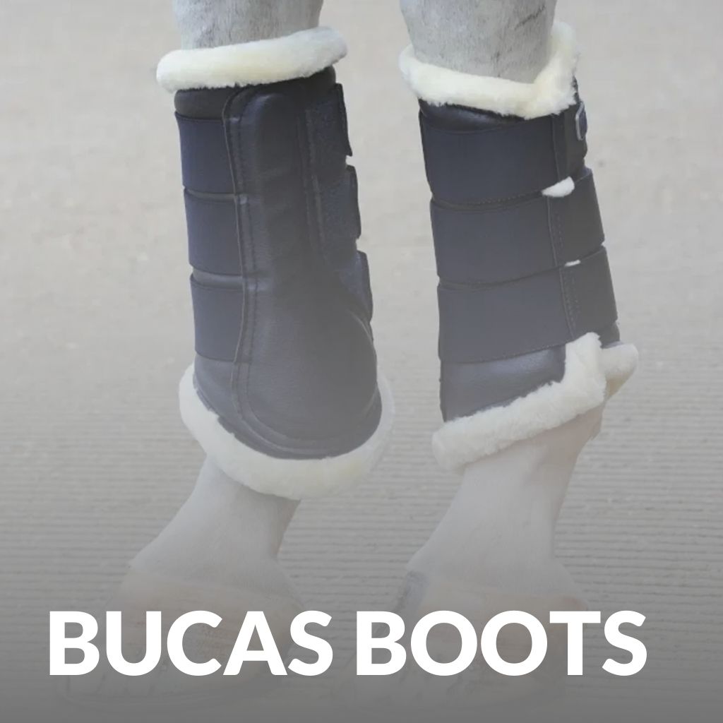 Bucas Boots For Horses – Premium Leg Protection For Training And Travel, Shop Now