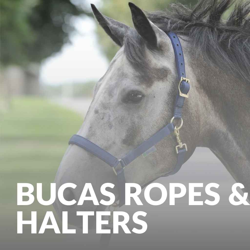 Bucas Halters & Leadropes – Premium Horse Headcollars And Leads Shop Now