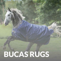 High Performance Bucas Rugs For Horses – Comfort & Weather Protection | Shop Now