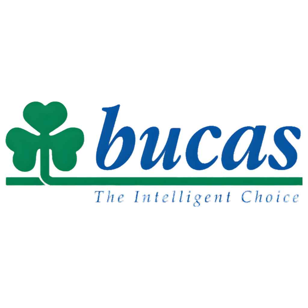 Muddy Fields To Smart Rugs: Bucas Rug – Innovation, Comfort & Horse Rug Technology