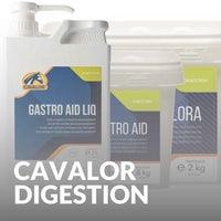 Premium Cavalor Digestion Supplements – Shop Horse Gut Support Now