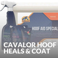 Cavalor Horse Hoof Growth And Coat Shine Supplements Buy Now