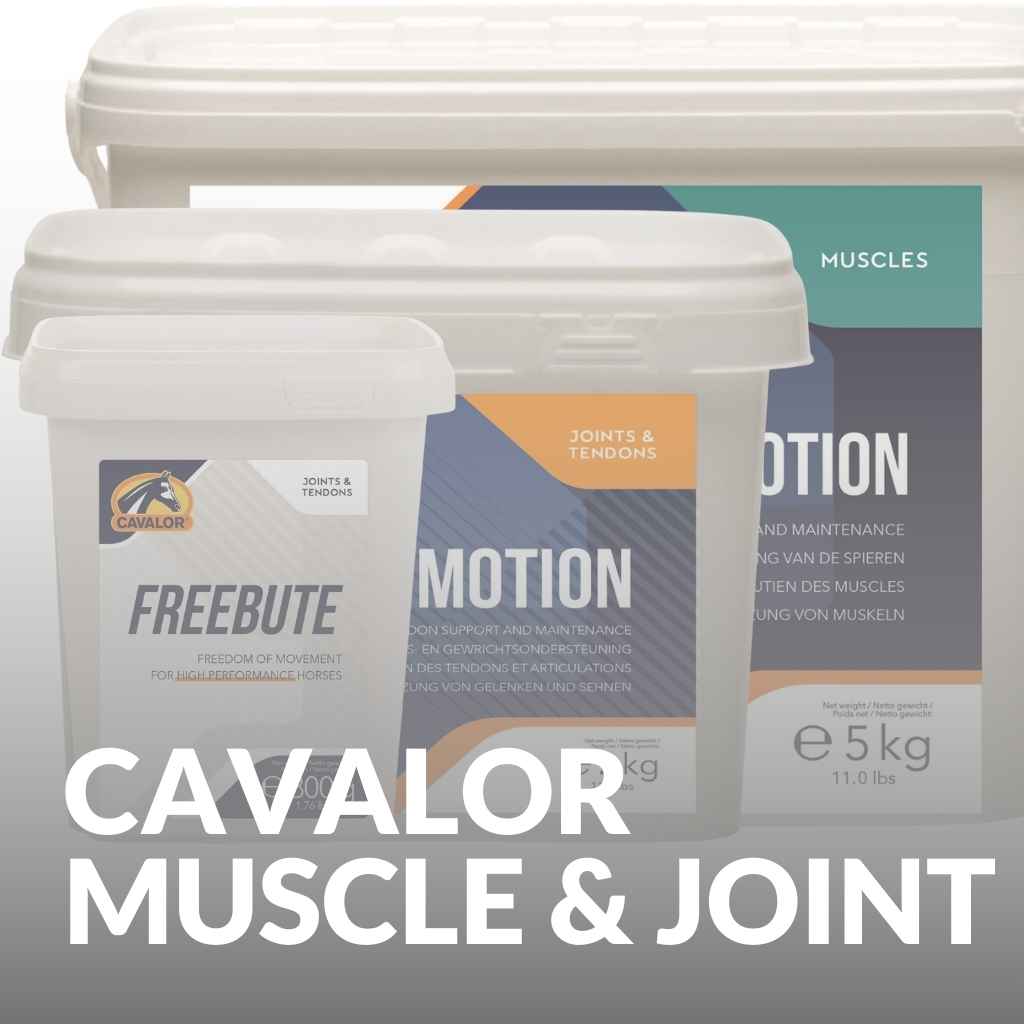 Cavalor Muscle & Joint Supplements For Horses – Shop Now For Peak Performance