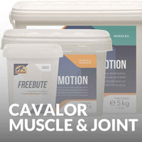 Cavalor Muscle & Joint Supplements For Horses – Shop Now For Peak Performance