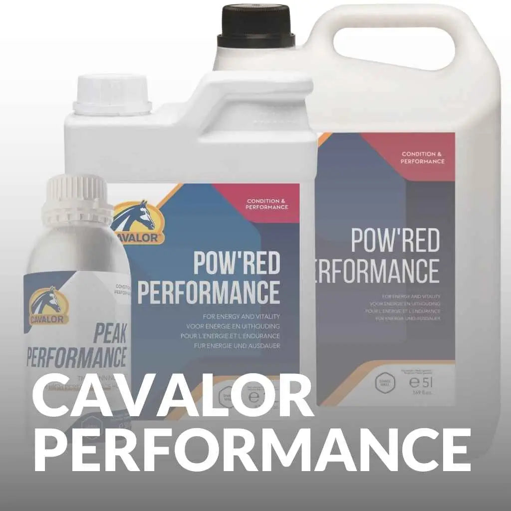 Cavalor Performance And Recovery Supplements For Horses – Get Yours