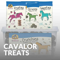 Cavalor Treats Collection – Premium Horse Rewards Shop Now