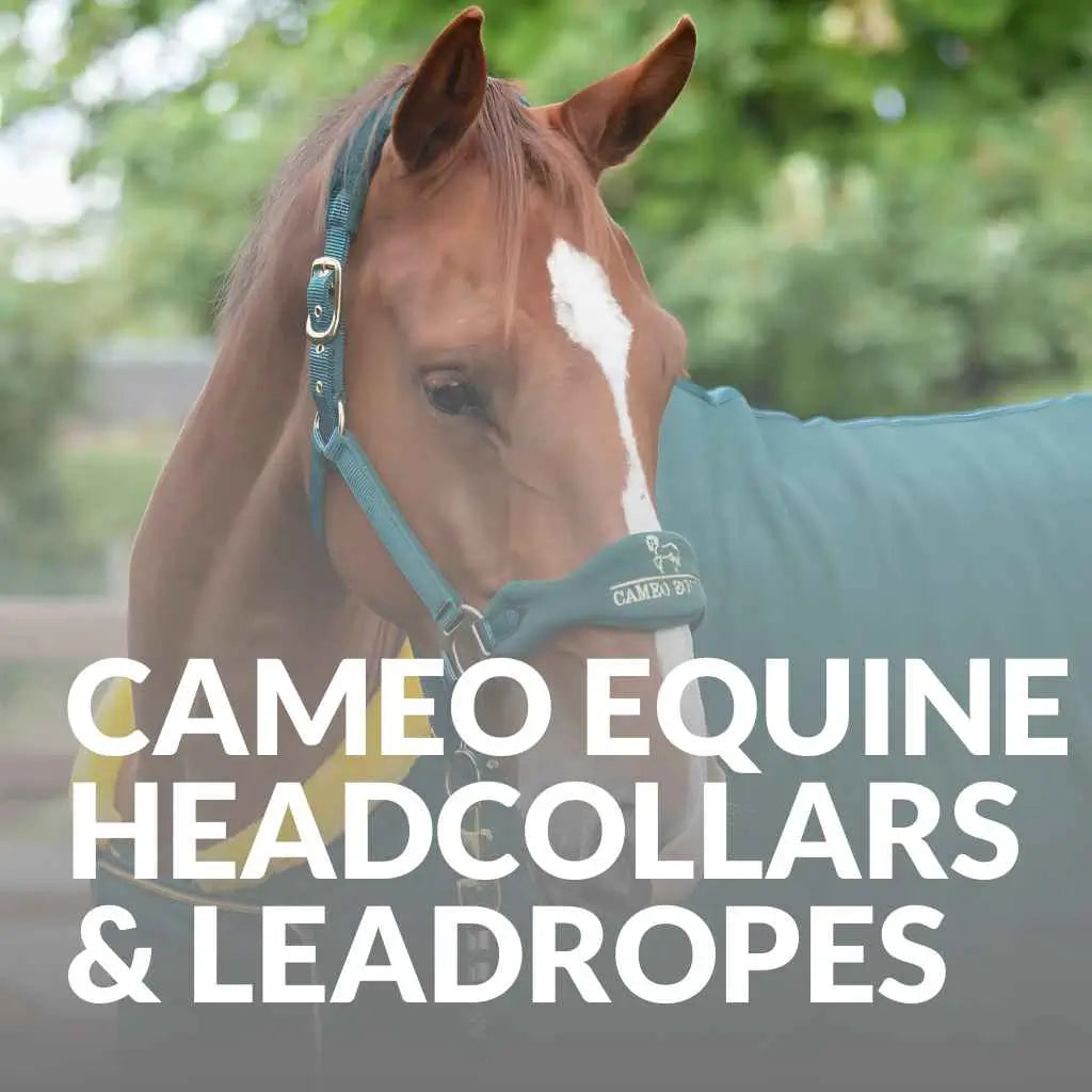 Shop Cameo Equine Headcollars & Leadropes – Comfort & Style