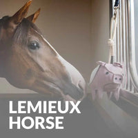 Upgrade Your Horse’s Comfort With LeMieux Gear – Shop Now!