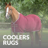 Keep Your Horse Cool With Premier Equine Cooler Rugs – Buy Today
