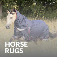 Discover Award-Winning LeMieux Rugs For Your Horse