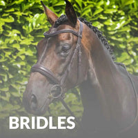 Premier Equine Bridles For Horses – Shop High-Quality Designs Now!