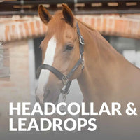 Premier Equine Headcollars & Leadropes – Shop Durable Options Now