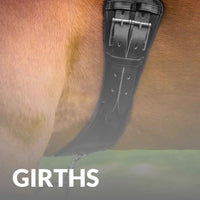 Explore High-Quality Premier Equine Girths – Buy Yours Today