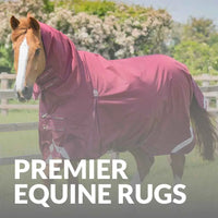 Discover Premier Equine Rugs: All-Weather Comfort for Your Horse