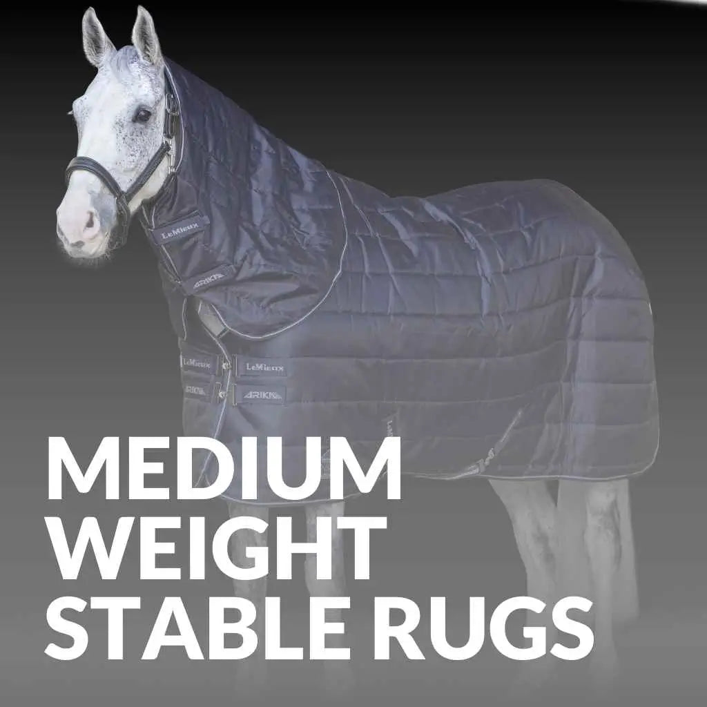 Discover LeMeiux Mediumweight Stable Rugs – Buy Now